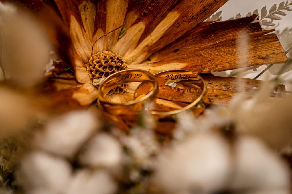 Wedding Photographer-Videographer